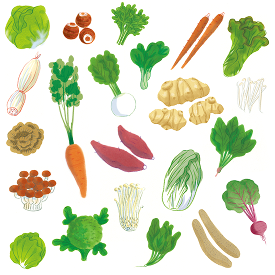 多種類の野菜
