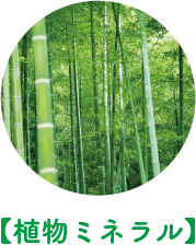 【植物ミネラル】