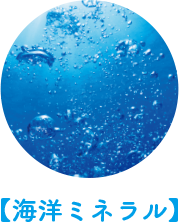 【海洋ミネラル】
